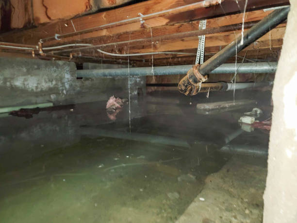 Best Emergency water extraction  in Bladenboro, NC