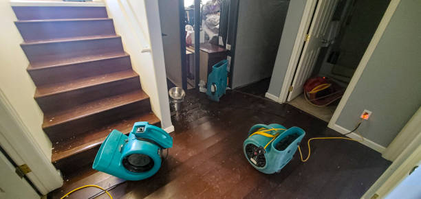 Best 24-hour water damage restoration  in Bladenboro, NC