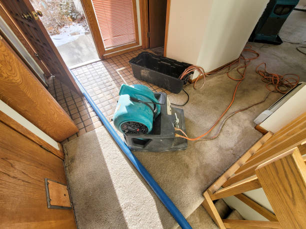  Bladenboro, NC Water damage restoration Pros