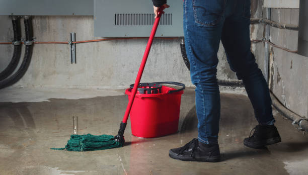 Best Fire Damage Restoration  in Bladenboro, NC
