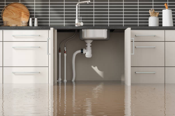 Best Mold removal after water damage  in Bladenboro, NC