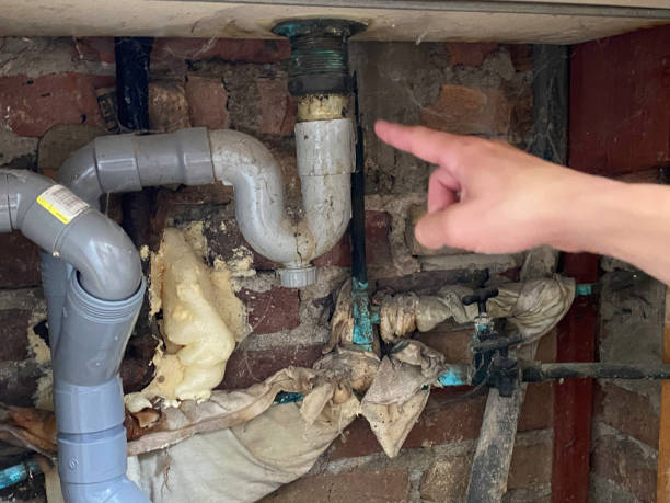 Best Professional water damage repair  in Bladenboro, NC